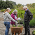 Exploring the Vibrant Community Projects in Washington County, Oregon