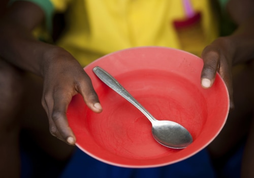 Empowering Washington County: Community Efforts to Combat Poverty and Food Insecurity