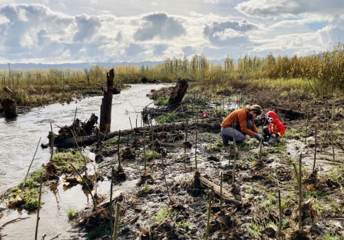 Preserving Washington County's Natural Beauty: A Look at Community Environmental Projects