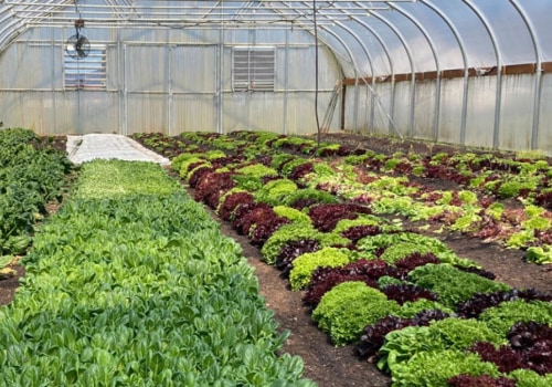 The Impact of Community Projects on Sustainable Agriculture in Washington County, Oregon