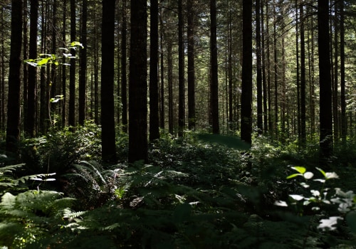 The Power of Community Projects in Preserving the Environment in Washington County, Oregon